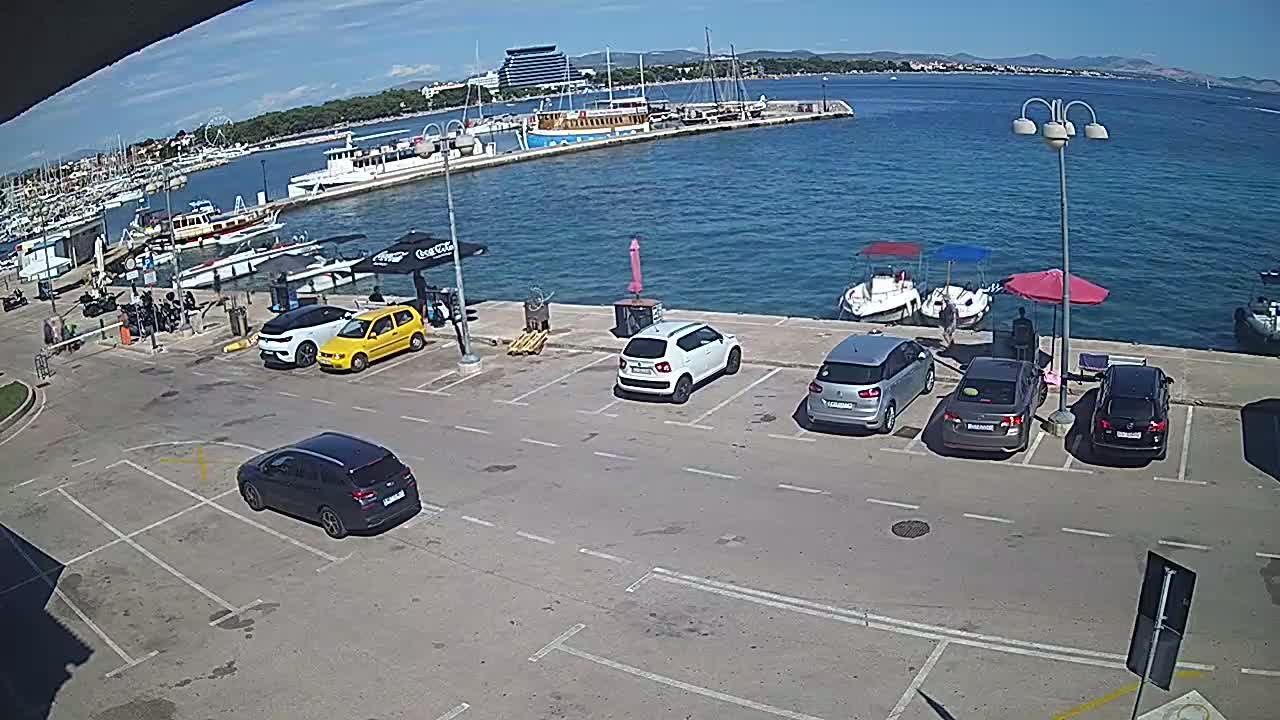 A sunny day at a harbor shows several cars parked in a lot overlooking boats moored at a dock.