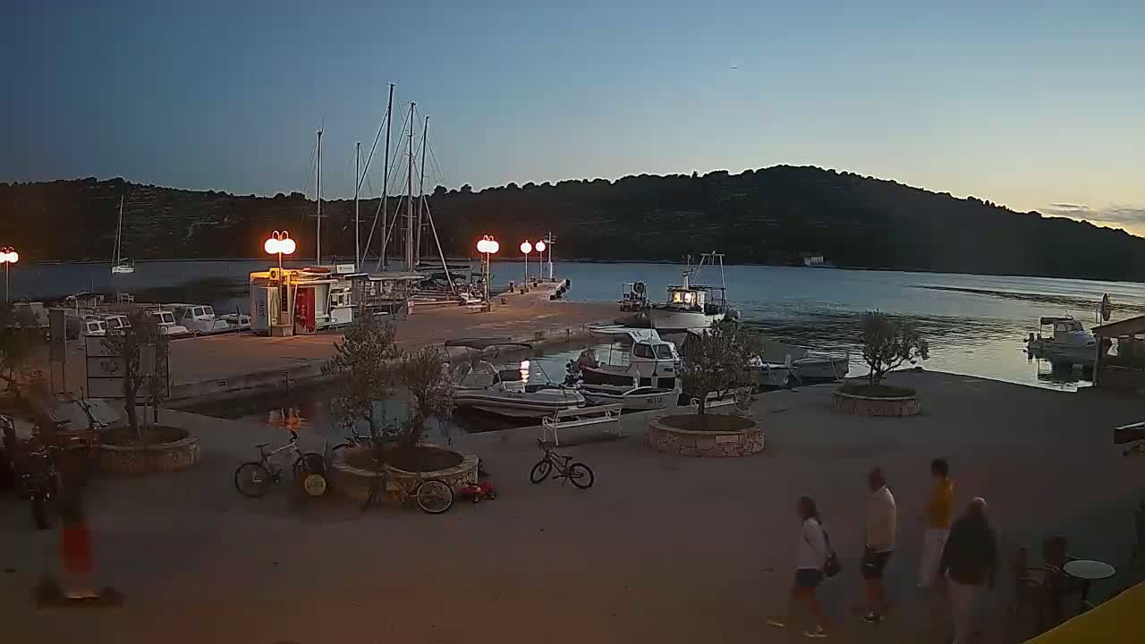 A nighttime view of a harbor with several boats docked, some people walking in the foreground, and a few bicycles parked near some small trees in planters.