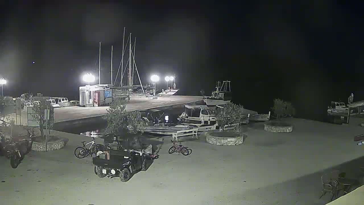 A nighttime view of a harbor shows several boats docked, some small vehicles and bicycles parked nearby, and small trees in planters.