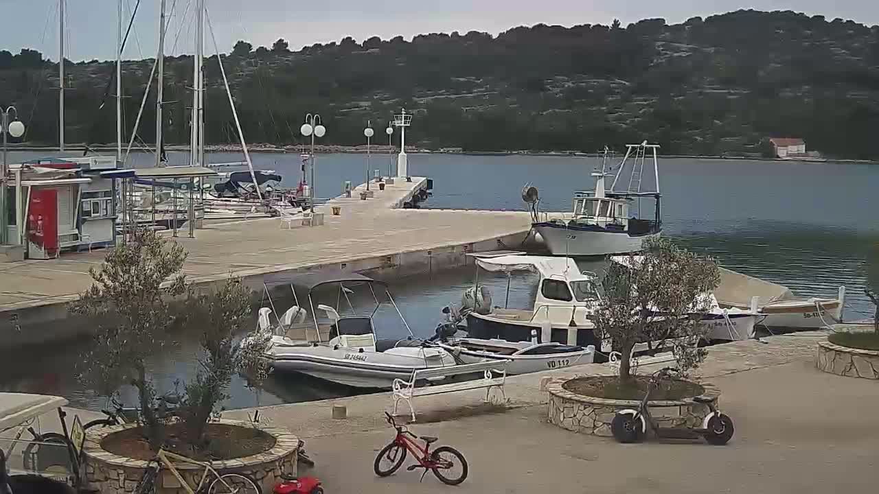 Several boats are moored at a marina on a calm day, with a hilly, wooded area visible in the background.