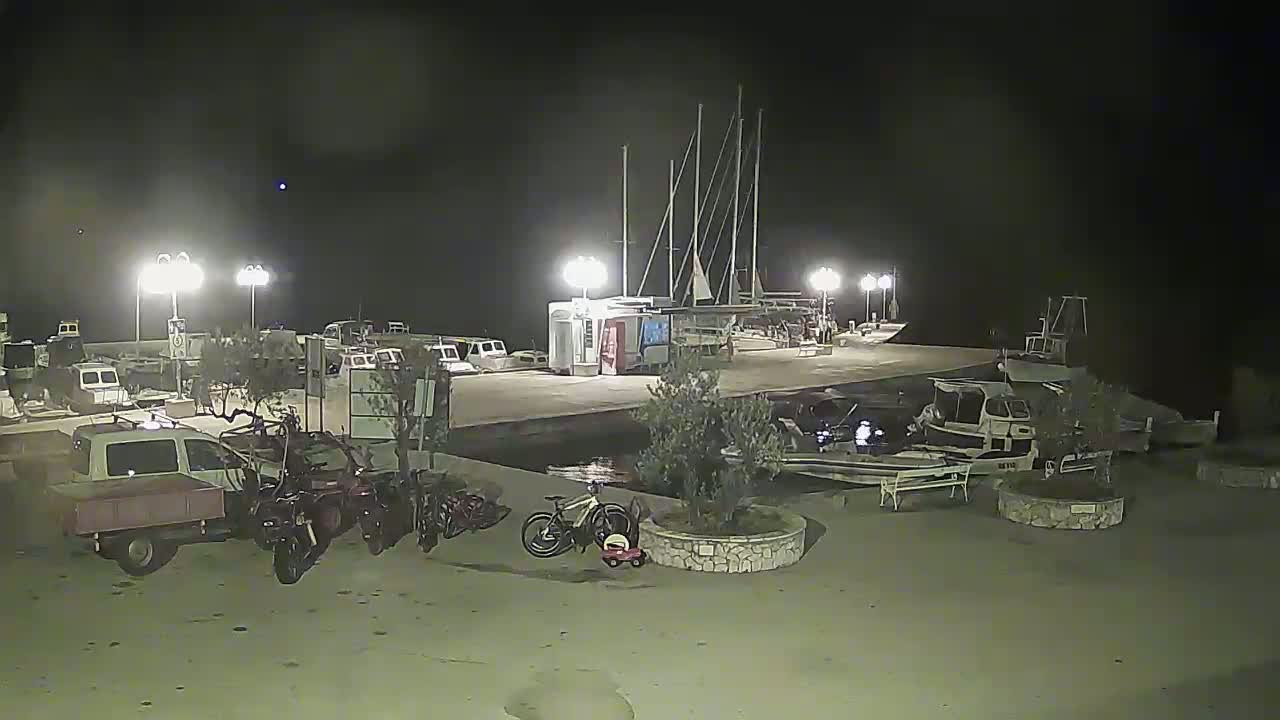 A nighttime scene at a harbor shows several boats docked, vehicles parked, and a few small trees in planters along a waterfront walkway under artificial light.