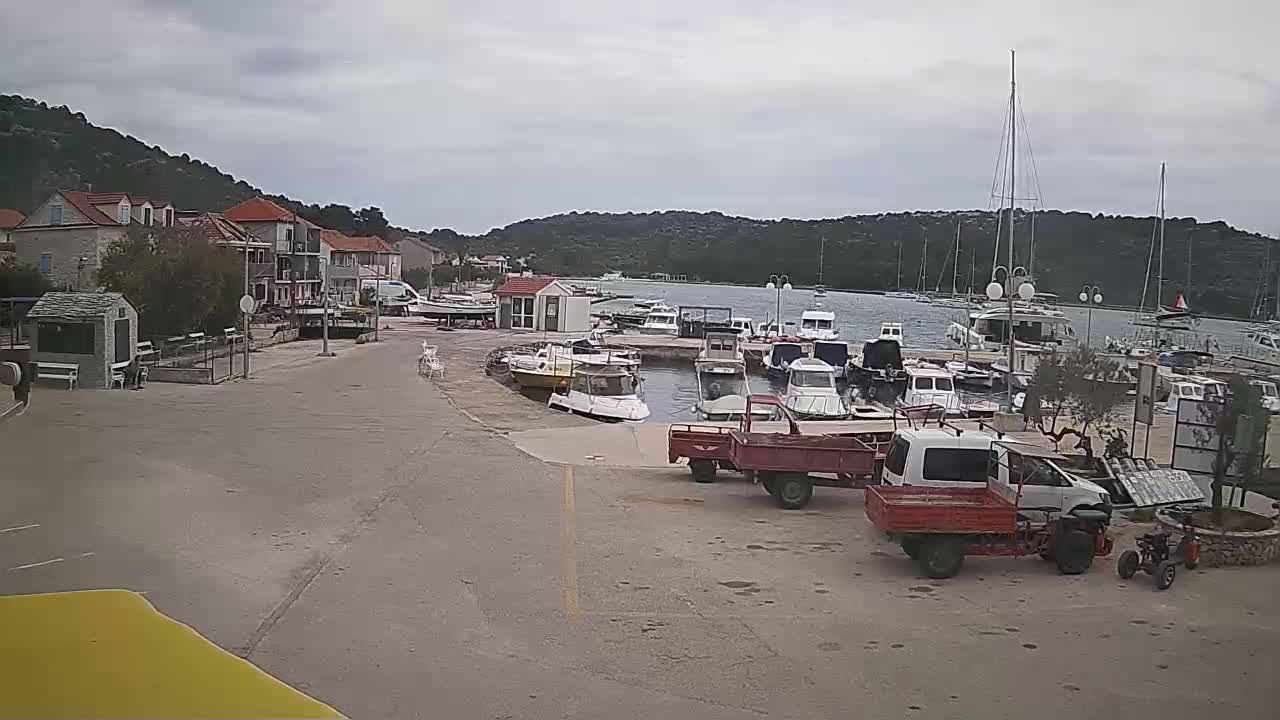A small harbor with numerous boats and several small trucks is seen under an overcast sky.