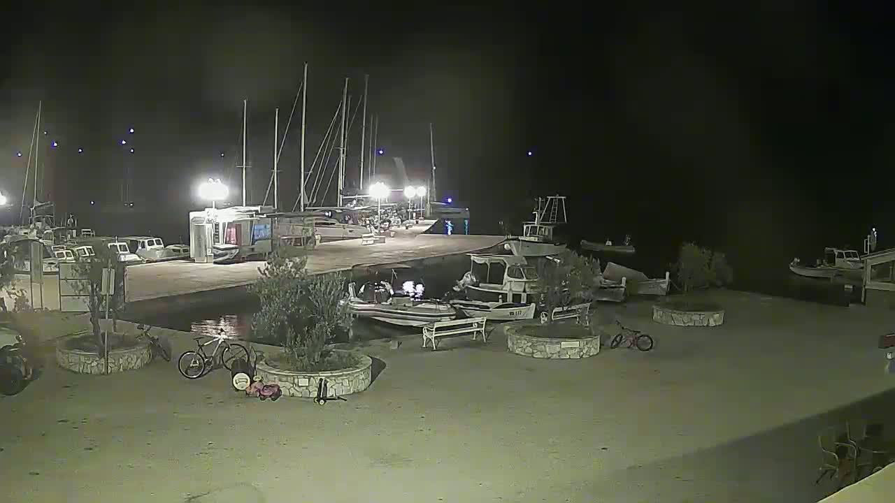 A nighttime harbor scene shows several boats moored at a dock, illuminated by artificial lights, with bicycles and small plants visible on the surrounding land.