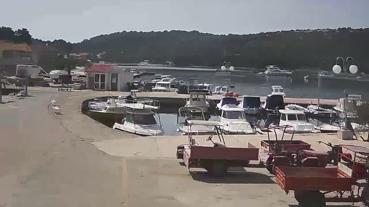 A marina filled with numerous boats on a sunny day, with several small red utility trailers parked nearby.