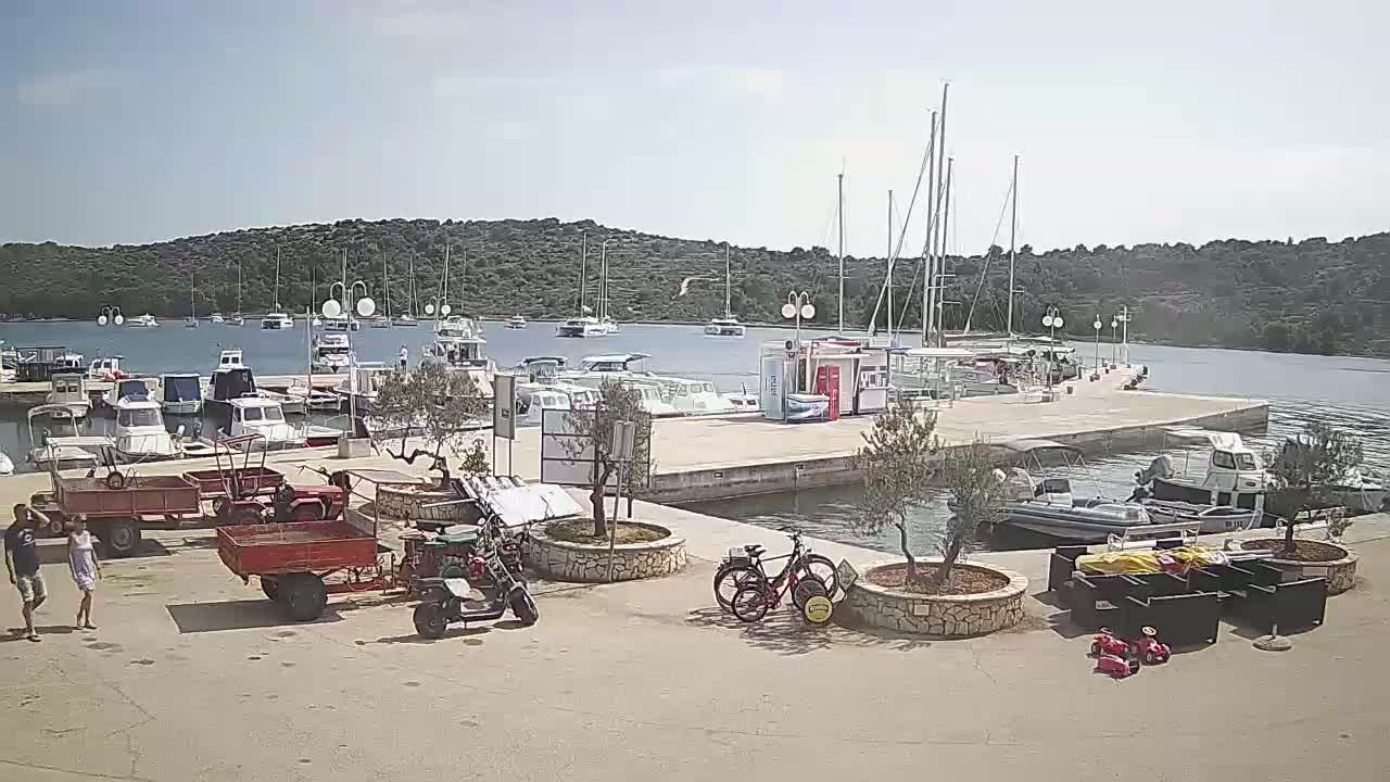 A sunny day at a marina shows numerous boats docked, some small tractors and other equipment parked on the land, and two bicycles near some small potted trees.