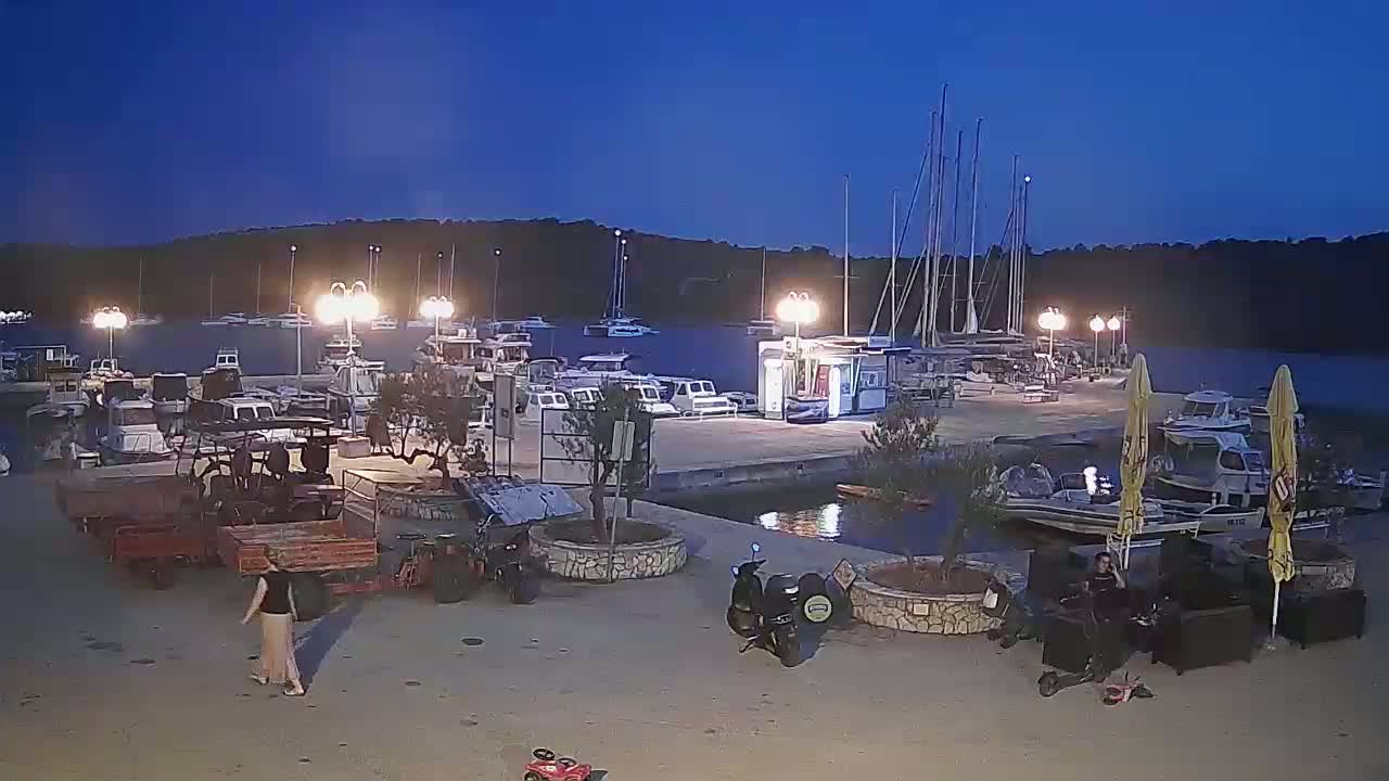 A nighttime view of a marina with numerous boats docked, illuminated by lampposts, under a dark blue, clear sky.