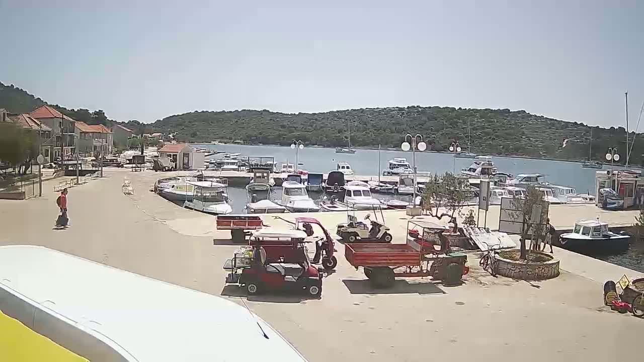 A sunny day at a harbor shows numerous boats docked, several small utility vehicles parked nearby, and a person walking on the paved area next to some buildings.