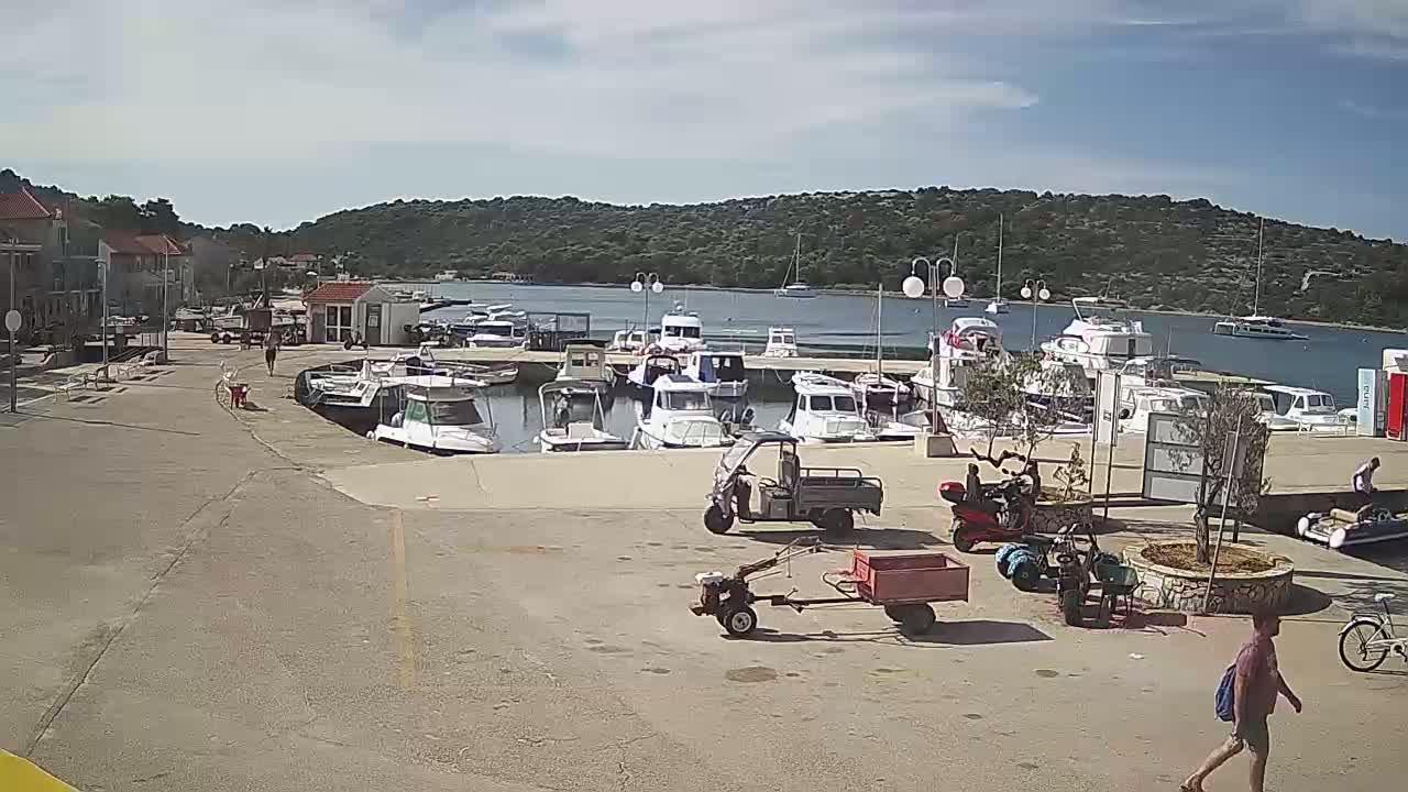 A harbor filled with numerous boats is situated near a paved area with several small vehicles and a few pedestrians, under a mostly sunny sky.