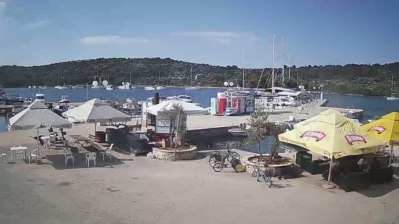 A sunny harbor scene shows several boats moored, with outdoor seating areas under umbrellas and bicycles nearby.