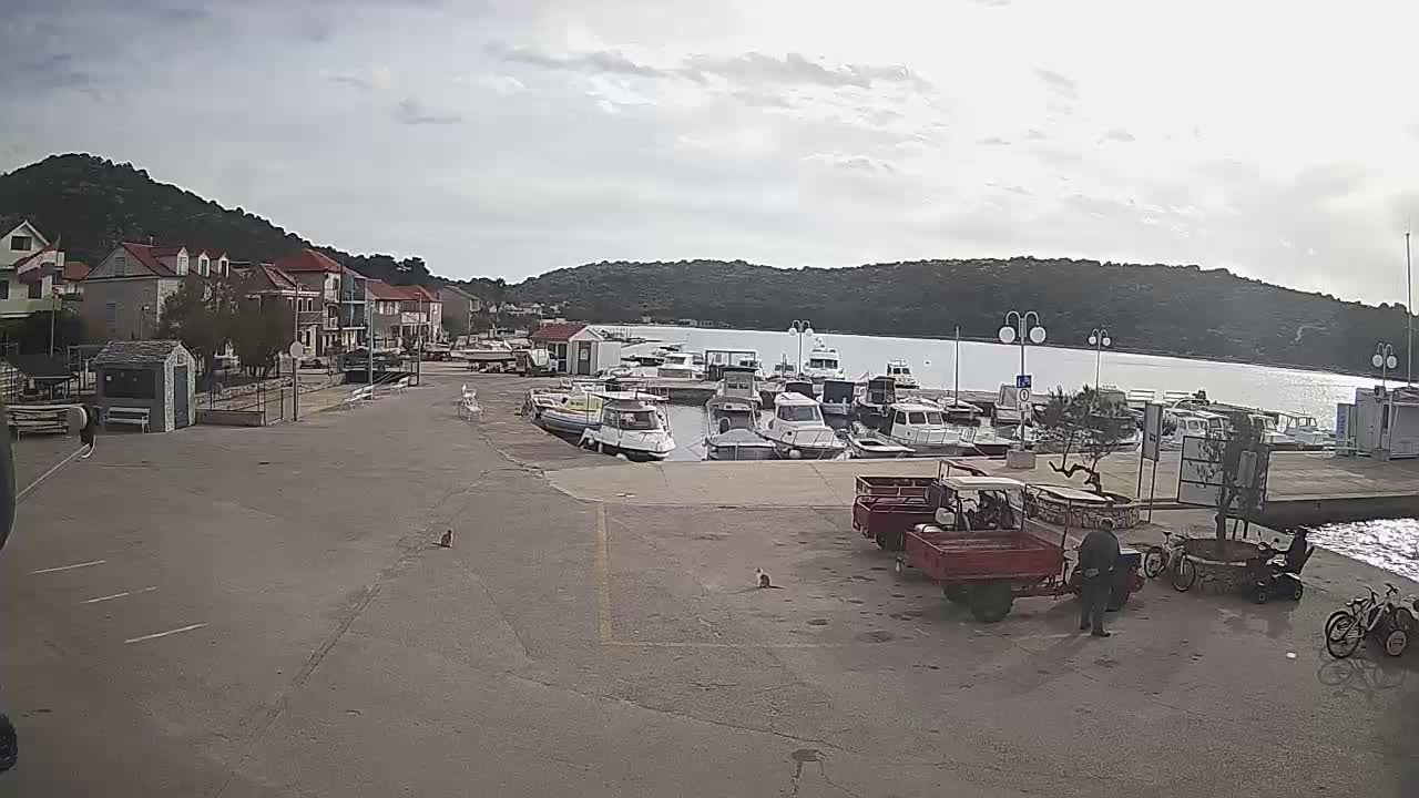 Otok Kaprije Island Village & Marine Live Cam - Karprije, Otok Kaprije, Šibenik-Knin, Croatia