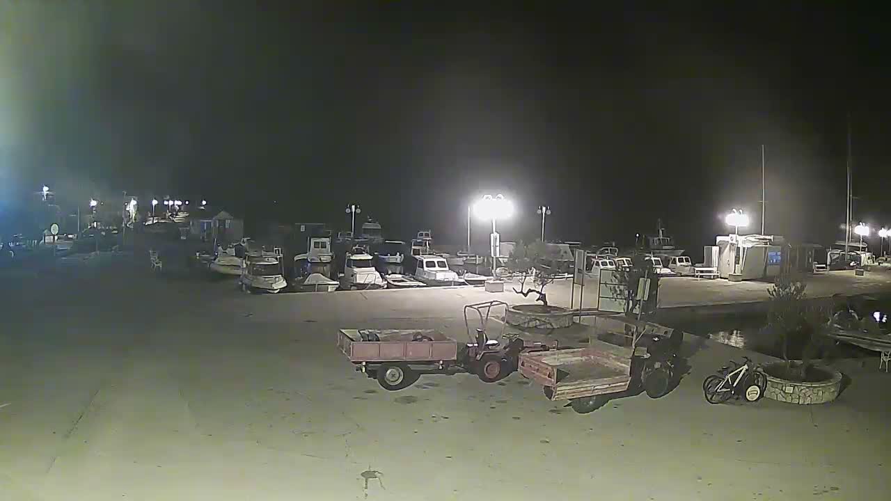 The image shows a dimly lit harbor at clear night, with numerous boats docked along a pier and a paved area in the foreground featuring a small tractor with a trailer, another trailer, and a bicycle near a planted tree.