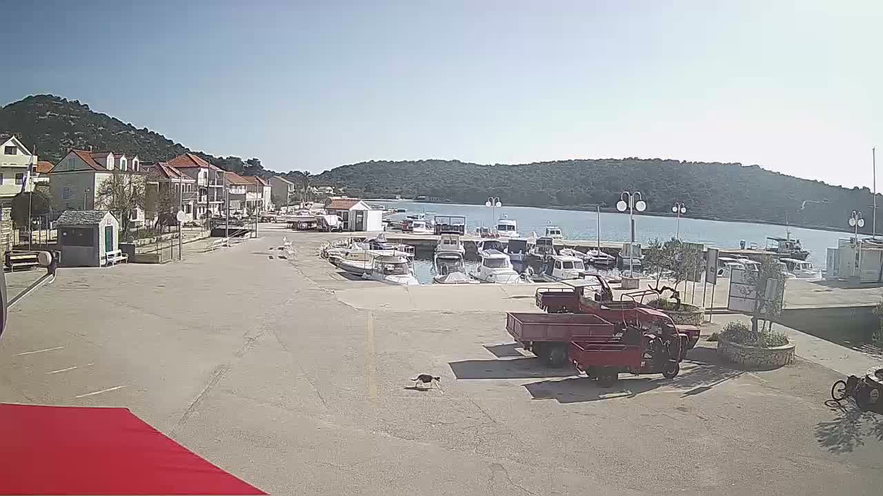 Otok Kaprije Island Village & Marine Live Cam - Karprije, Otok Kaprije, Šibenik-Knin, Croatia
