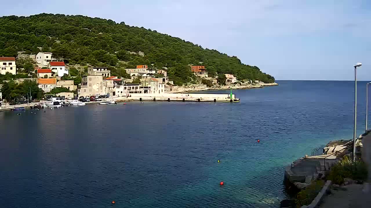 A small, calm harbor with several boats is nestled next to a hillside town on a sunny day.