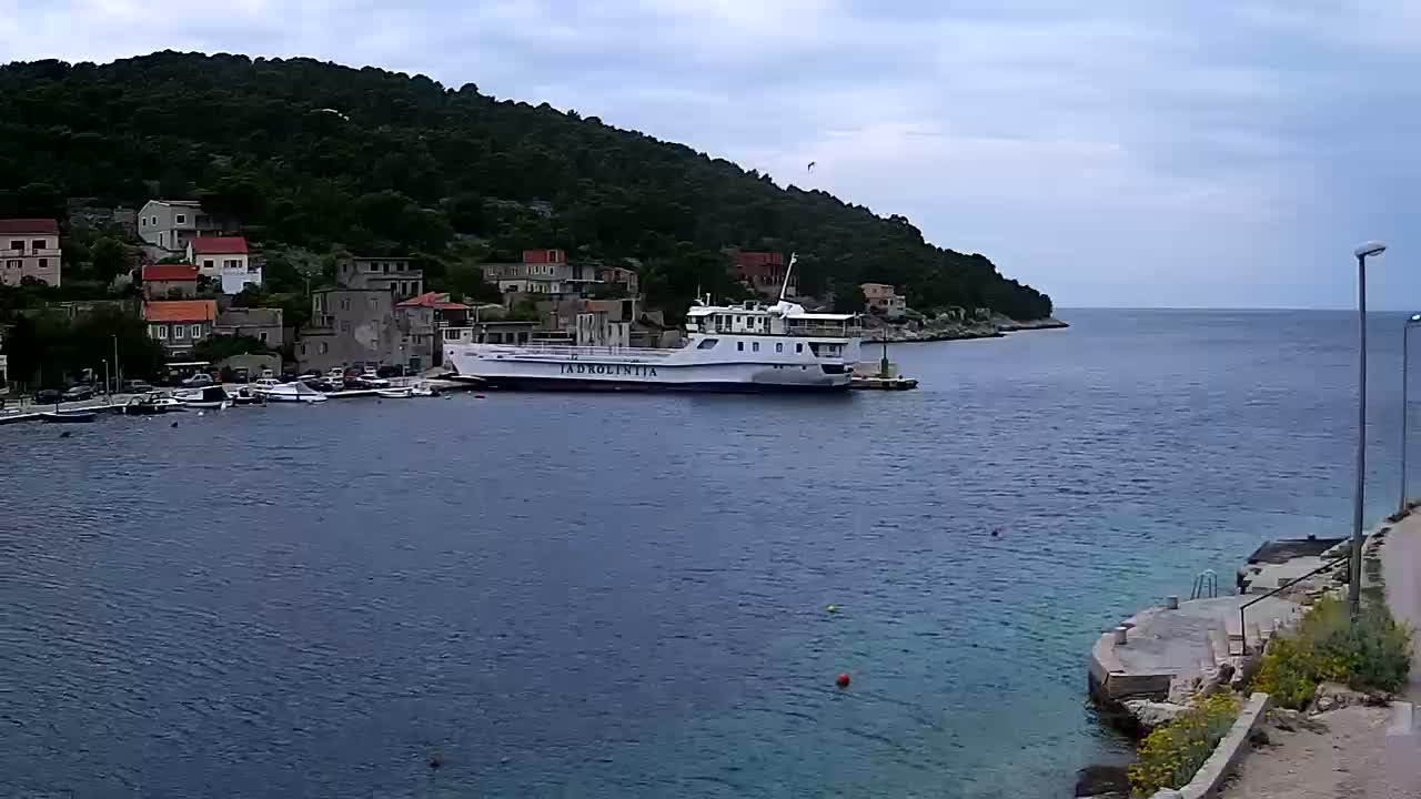 A ferry is docked in a calm harbor next to a small village nestled at the base of a verdant hill under an overcast sky.