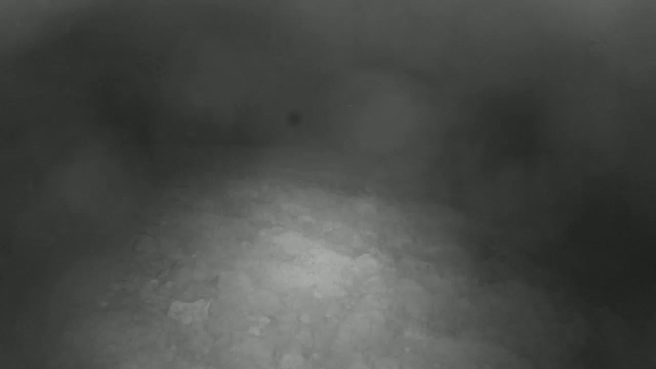 Punta Planka, Lighthouse - Crkva sv. Ivan (Church of St. John) & Adriatic Coast Live Cam - Punta Planka, Rogoznica, Rogoznica Opcina, Šibenik-Knin, Croatia