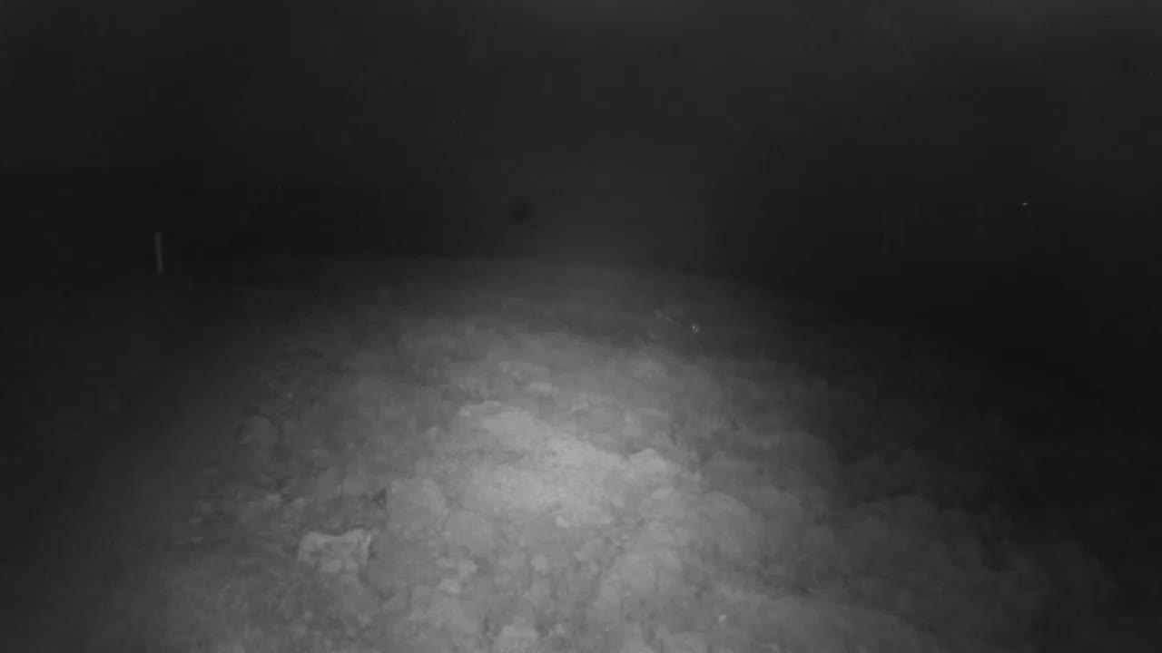 Punta Planka, Lighthouse - Crkva sv. Ivan (Church of St. John) & Adriatic Coast Live Cam - Punta Planka, Rogoznica, Rogoznica Opcina, Šibenik-Knin, Croatia