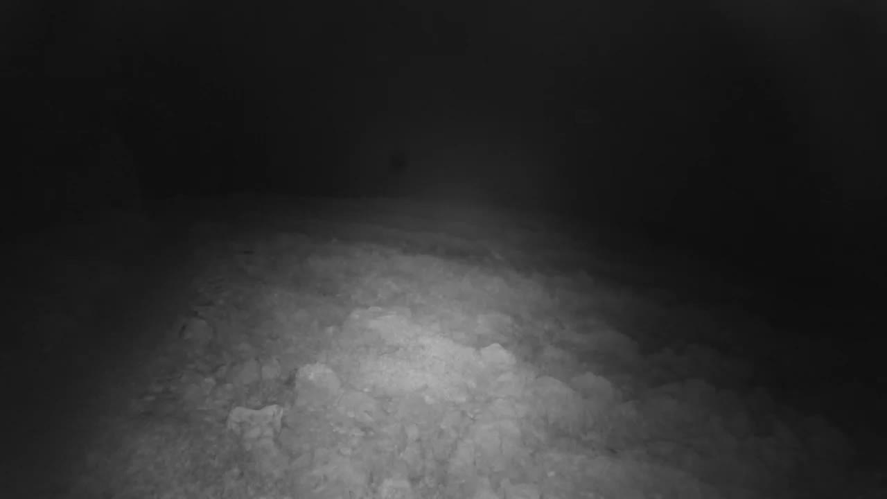 Punta Planka, Lighthouse - Crkva sv. Ivan (Church of St. John) & Adriatic Coast Live Cam - Punta Planka, Rogoznica, Rogoznica Opcina, Šibenik-Knin, Croatia