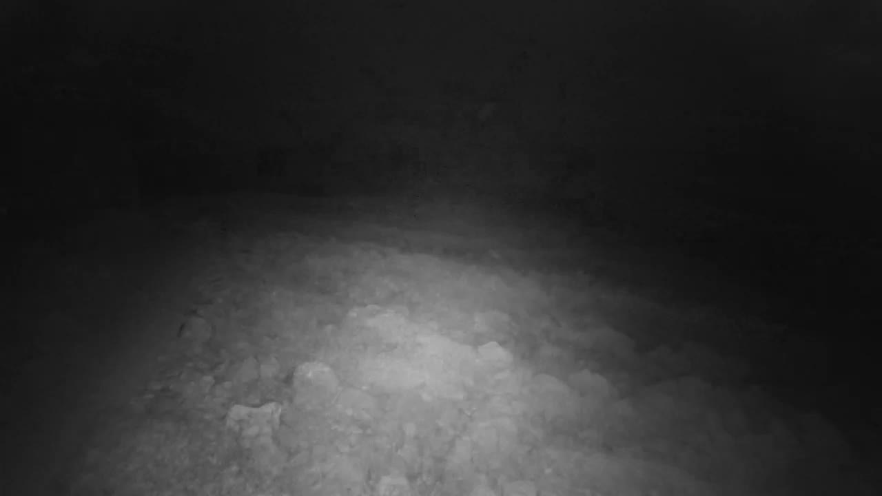 Punta Planka, Lighthouse - Crkva sv. Ivan (Church of St. John) & Adriatic Coast Live Cam - Punta Planka, Rogoznica, Rogoznica Opcina, Šibenik-Knin, Croatia