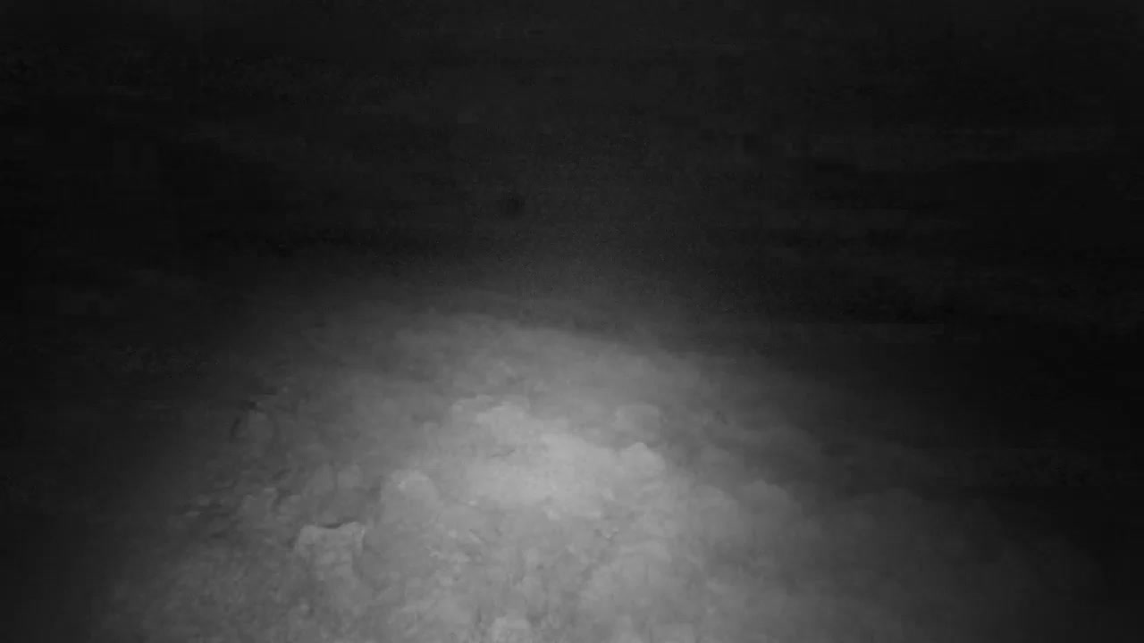 Punta Planka, Lighthouse - Crkva sv. Ivan (Church of St. John) & Adriatic Coast Live Cam - Punta Planka, Rogoznica, Rogoznica Opcina, Šibenik-Knin, Croatia