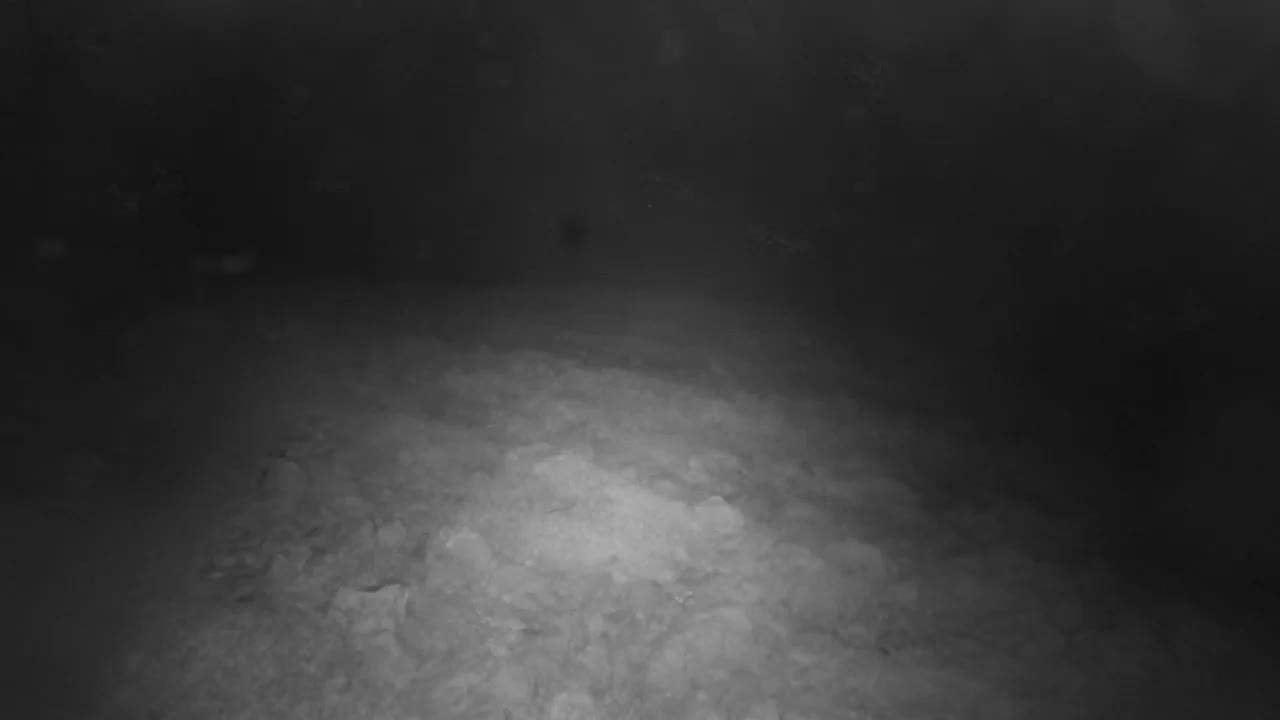 Punta Planka, Lighthouse - Crkva sv. Ivan (Church of St. John) & Adriatic Coast Live Cam - Punta Planka, Rogoznica, Rogoznica Opcina, Šibenik-Knin, Croatia