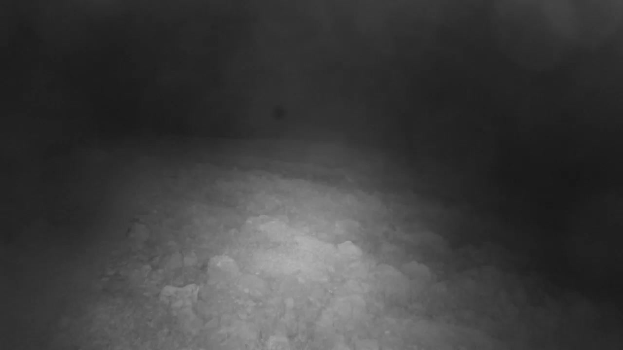 Punta Planka, Lighthouse - Crkva sv. Ivan (Church of St. John) & Adriatic Coast Live Cam - Punta Planka, Rogoznica, Rogoznica Opcina, Šibenik-Knin, Croatia