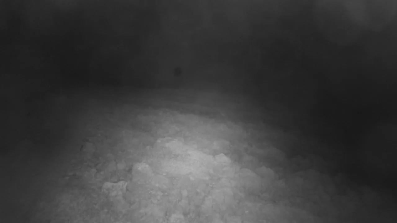 Punta Planka, Lighthouse - Crkva sv. Ivan (Church of St. John) & Adriatic Coast Live Cam - Punta Planka, Rogoznica, Rogoznica Opcina, Šibenik-Knin, Croatia