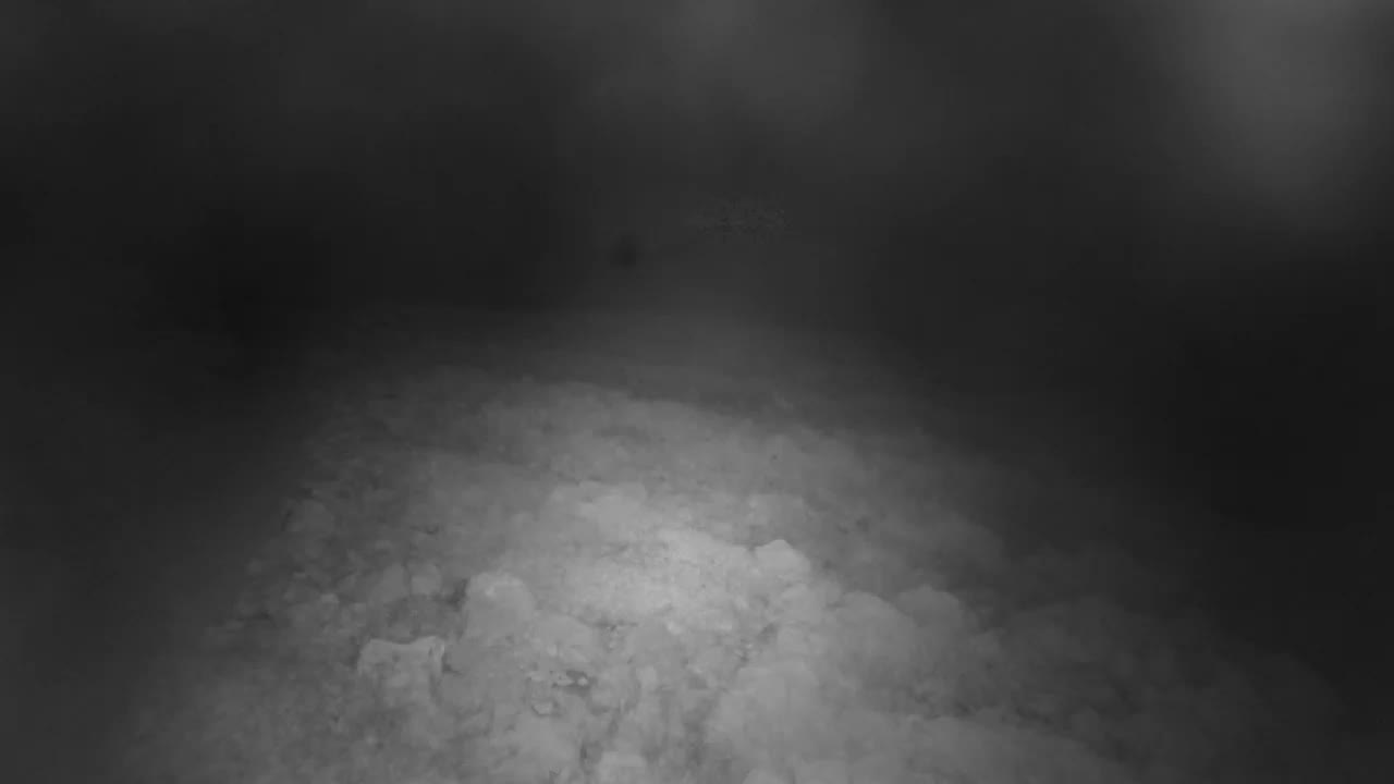 Punta Planka, Lighthouse - Crkva sv. Ivan (Church of St. John) & Adriatic Coast Live Cam - Punta Planka, Rogoznica, Rogoznica Opcina, Šibenik-Knin, Croatia