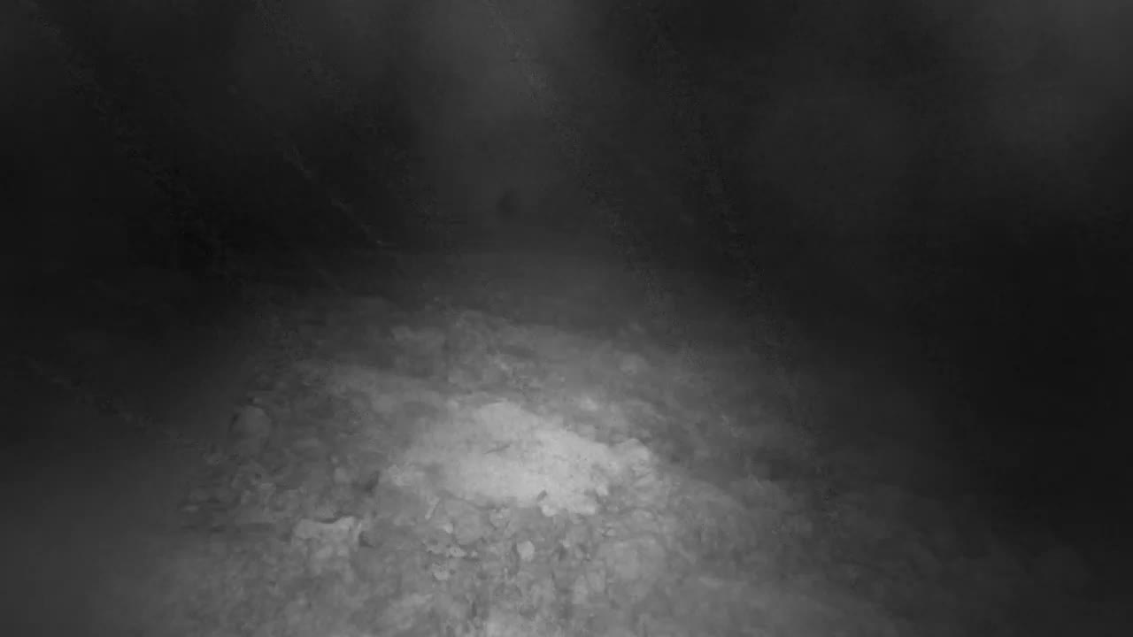 Punta Planka, Lighthouse - Crkva sv. Ivan (Church of St. John) & Adriatic Coast Live Cam - Punta Planka, Rogoznica, Rogoznica Opcina, Šibenik-Knin, Croatia