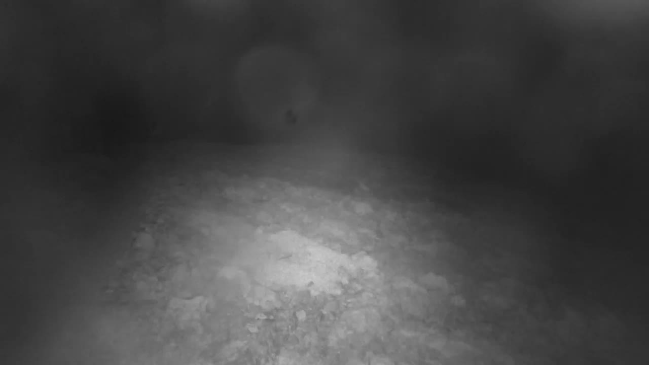 A bright, sunny day illuminates a rocky coastal landscape with a small light-colored building and a dirt path on the left, leading towards a choppy blue ocean featuring a distant lighthouse on a rocky islet.