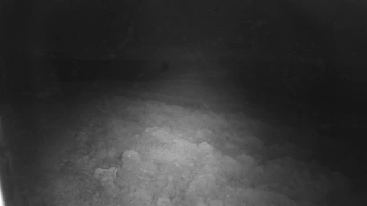 Punta Planka, Lighthouse - Crkva sv. Ivan (Church of St. John) & Adriatic Coast Live Cam - Punta Planka, Rogoznica, Rogoznica Opcina, Šibenik-Knin, Croatia