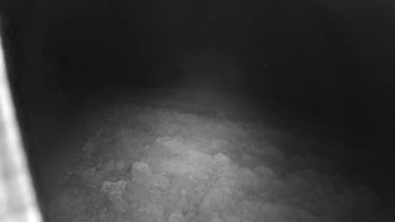 Punta Planka, Lighthouse - Crkva sv. Ivan (Church of St. John) & Adriatic Coast Live Cam - Punta Planka, Rogoznica, Rogoznica Opcina, Šibenik-Knin, Croatia