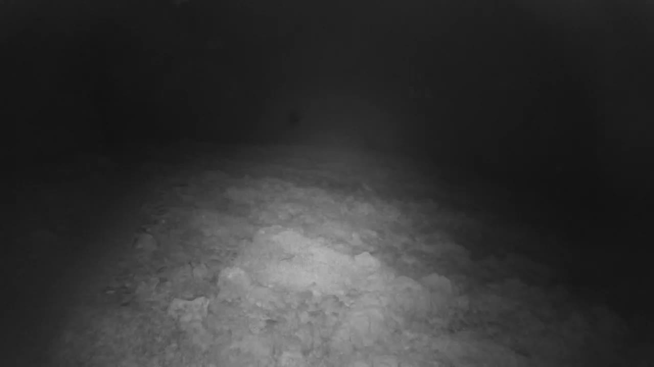 An uneven, dimly lit terrain covered in what appears to be snow or ice extends into a dark, hazy distance under the conditions of a cold night.