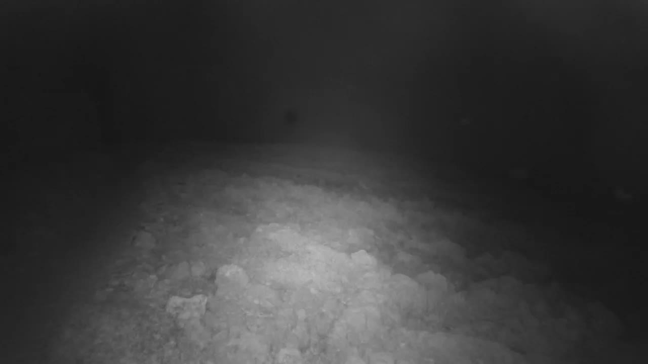 Punta Planka, Lighthouse - Crkva sv. Ivan (Church of St. John) & Adriatic Coast Live Cam - Punta Planka, Rogoznica, Rogoznica Opcina, Šibenik-Knin, Croatia