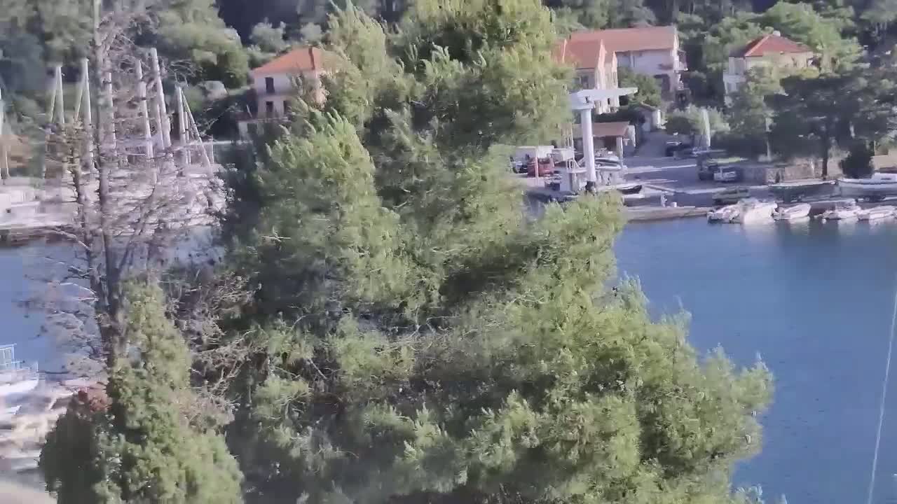 A calm body of water with boats docked at a waterfront area, surrounded by green vegetation and buildings on a hillside.
