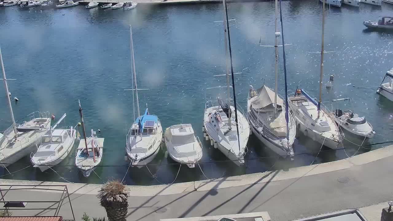 Several sailboats and motorboats are moored at a marina on a sunny day with a slightly choppy water surface.