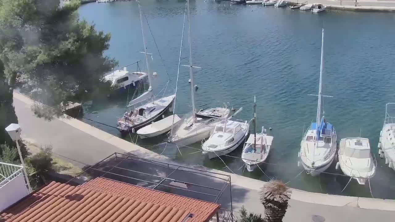 Several sailboats and motorboats are moored in a calm harbor next to a paved walkway, with a building and vegetation visible in the foreground.