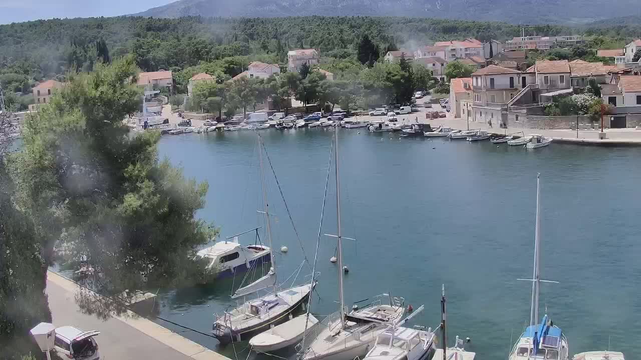 A tranquil harbor scene on a sunny day shows numerous boats moored in calm water, with a village nestled against a hillside in the background.