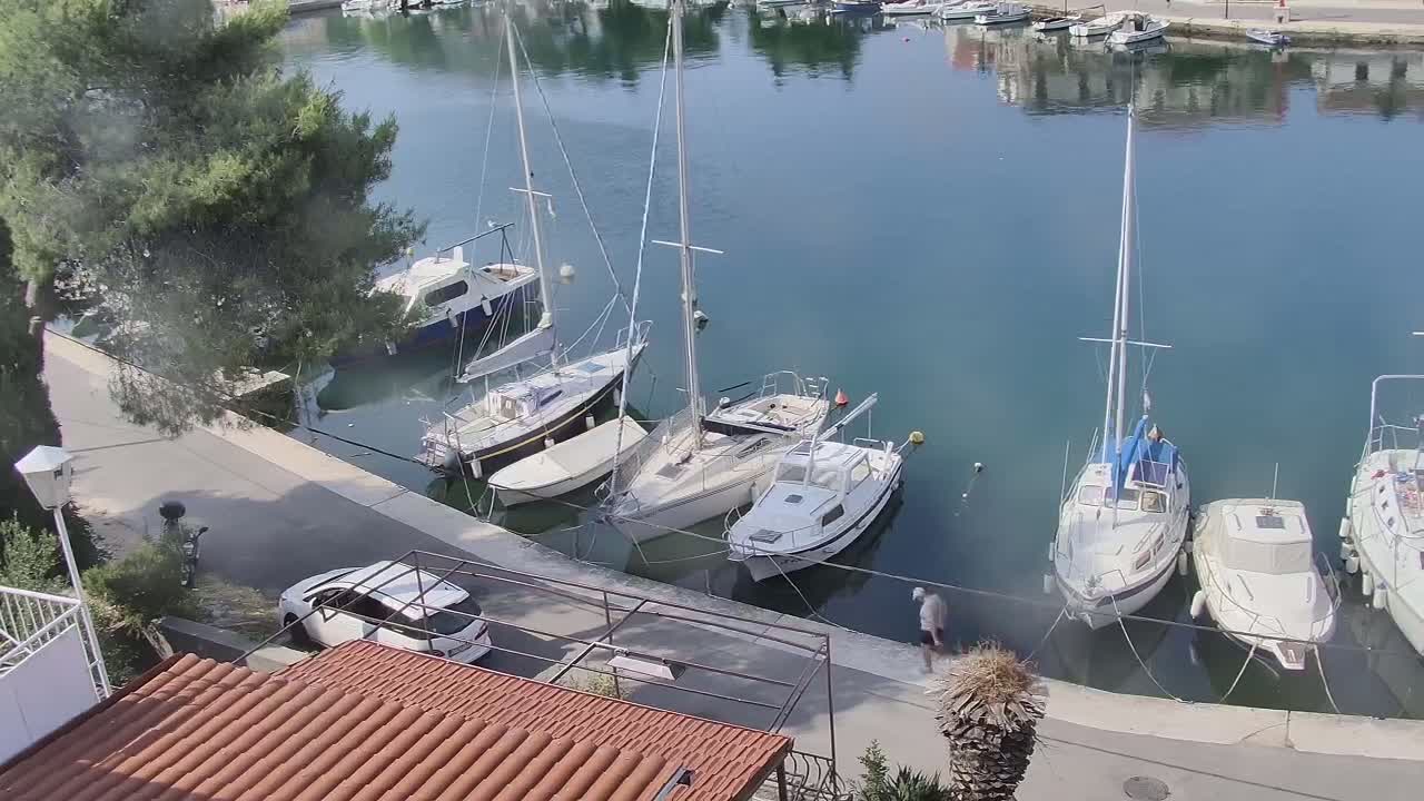 A marina with several sailboats and motorboats docked, a person walking along a paved walkway beside the water, and a car parked nearby, on a sunny day.
