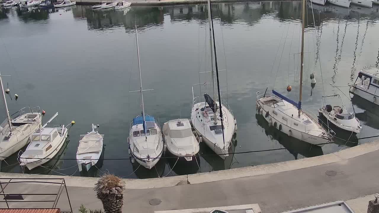 Several sailboats and motorboats are moored in a calm harbor.