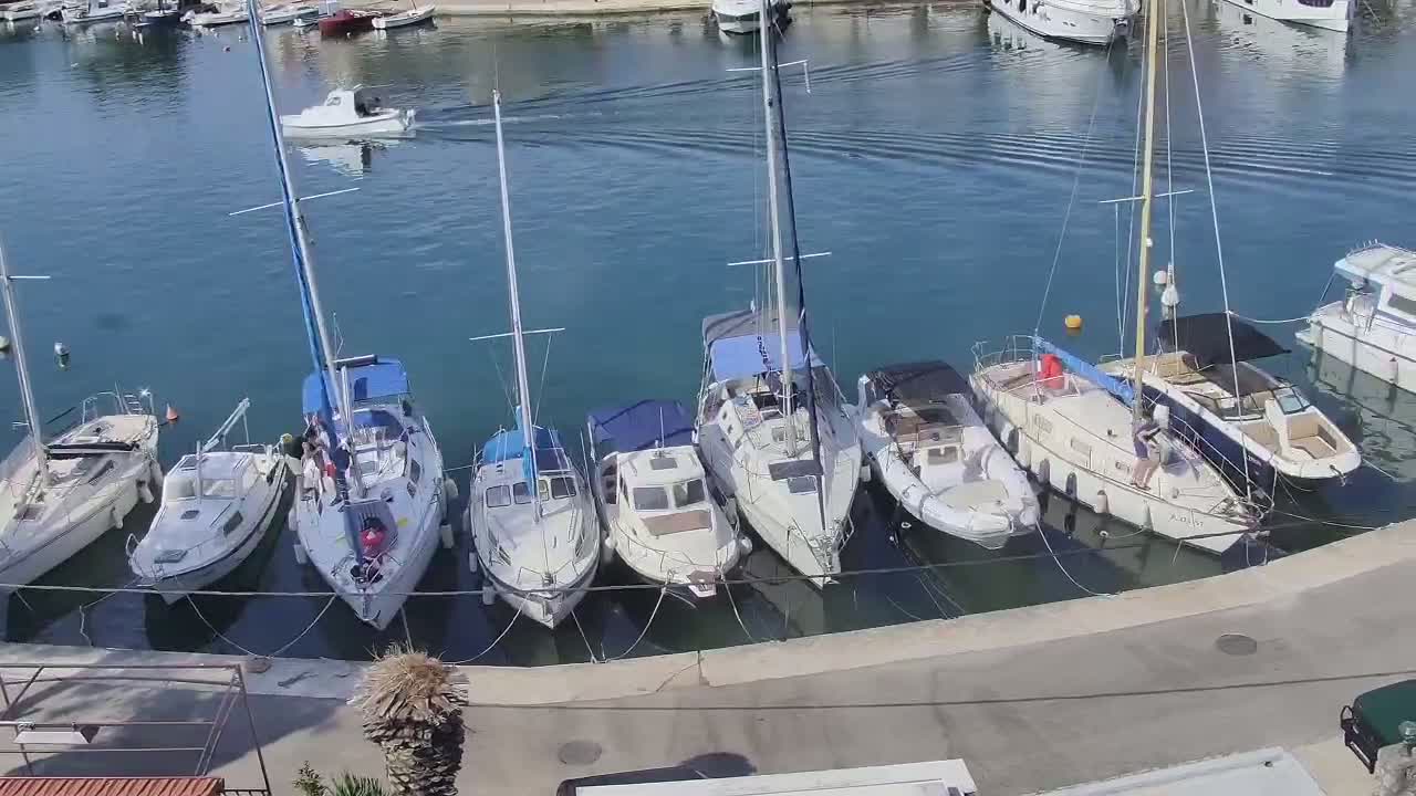 Several sailboats and motorboats are moored at a marina on a calm, sunny day.