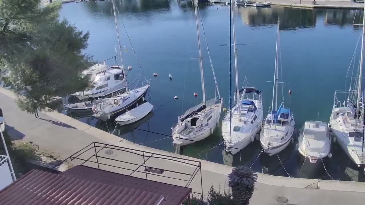 Numerous sailboats and motor yachts are docked in a calm, clear blue harbor on a bright and sunny day, with a concrete walkway and a large tree visible along the left shore.
