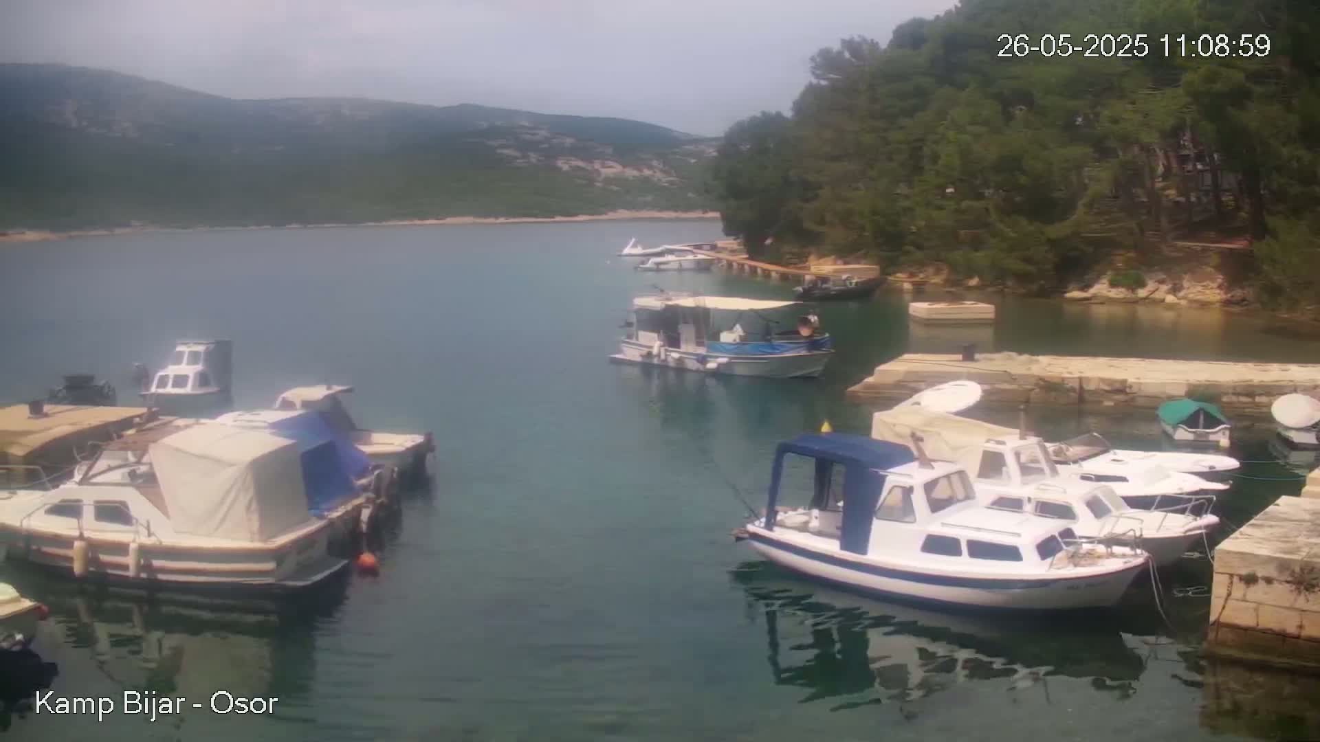 Several motorboats are docked in a calm bay under a cloudy sky, with green hills and trees visible in the background.