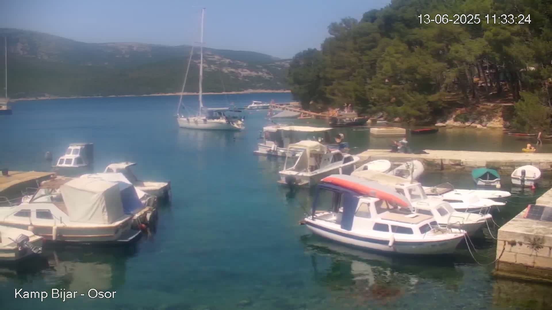 A sunny day at a calm, clear harbor shows numerous motorboats and sailboats docked near a wooded shore.
