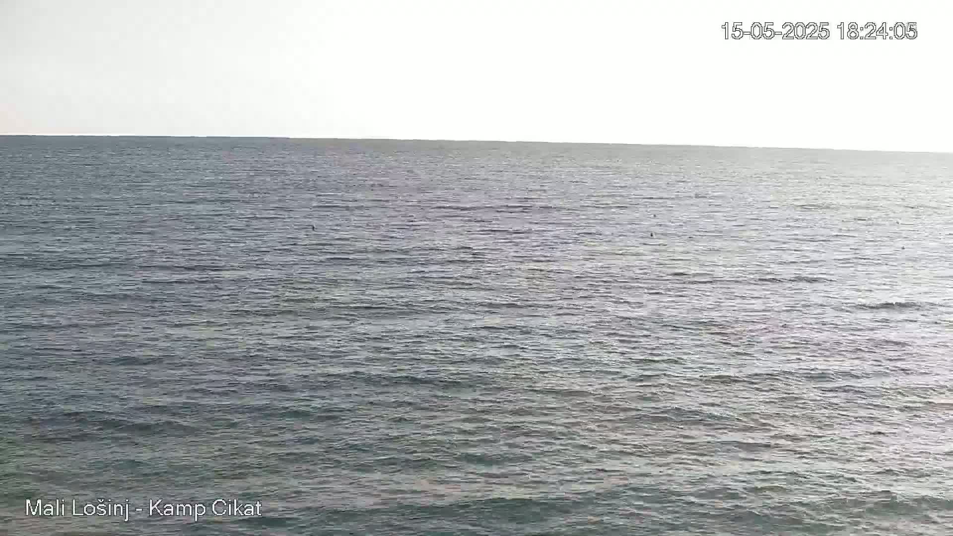 A calm, gray sea stretches to a pale horizon under a bright, overcast sky.