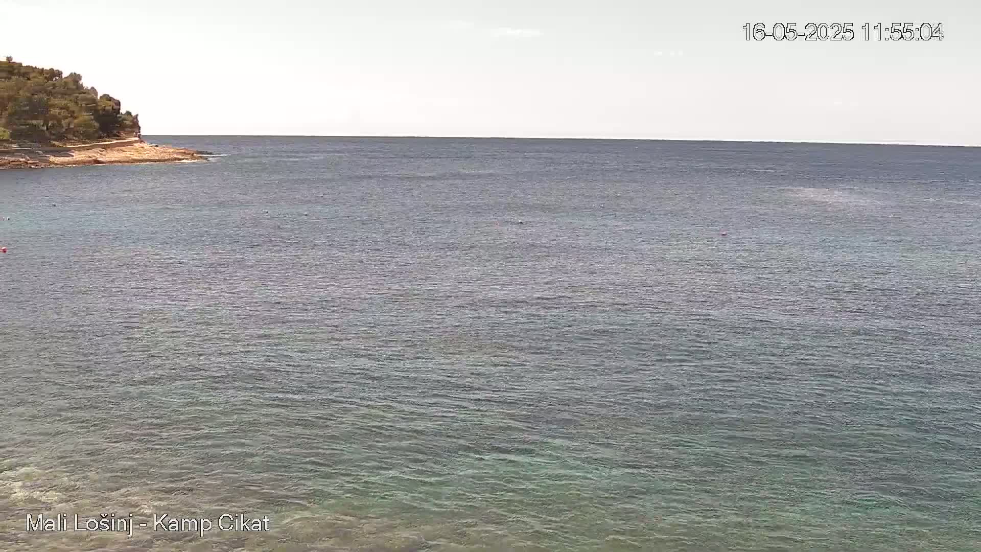 A tranquil, mostly calm sea stretches out from a rocky shoreline with green vegetation under a mostly clear sky.