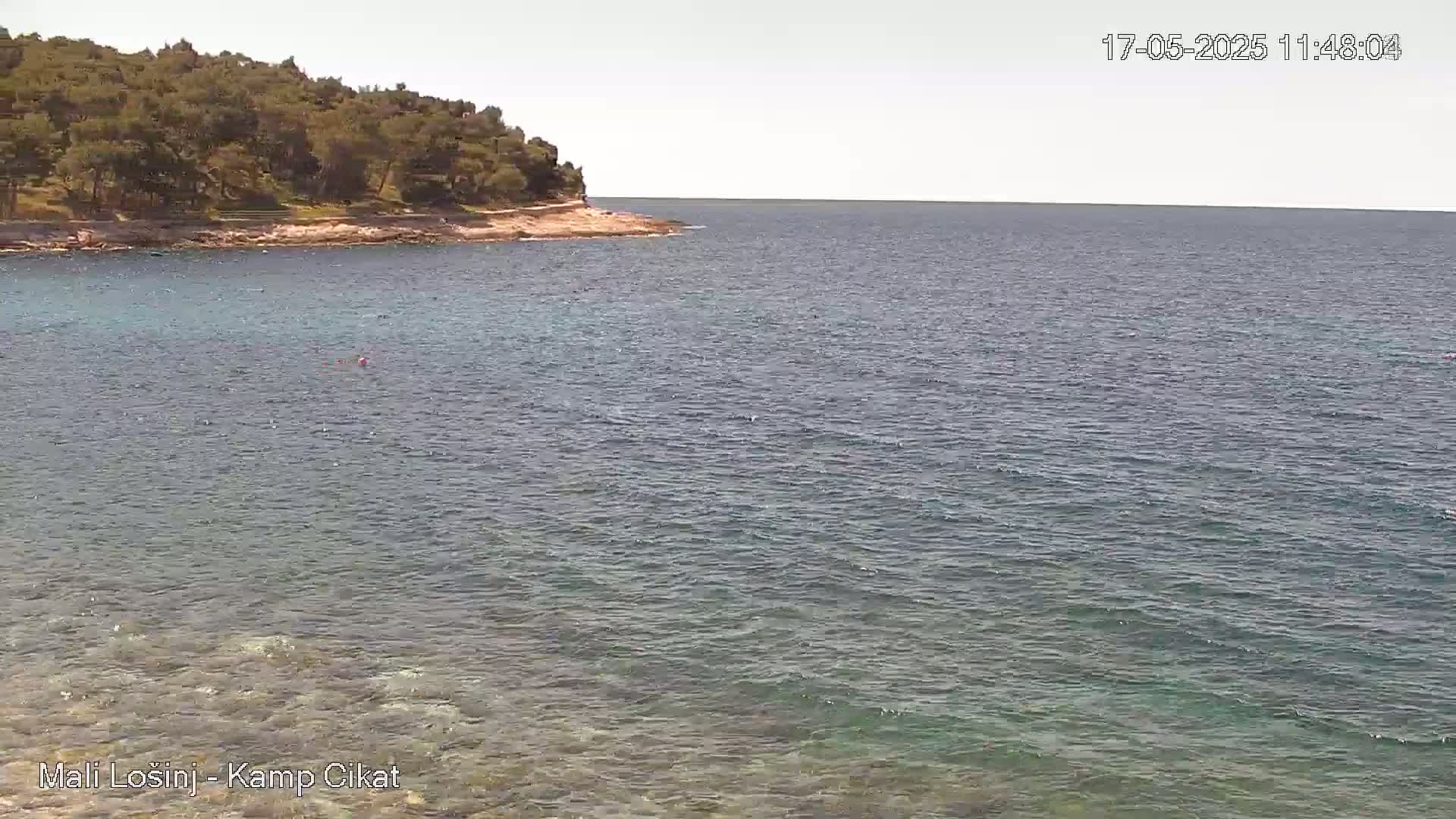A calm sea under a mostly clear sky meets a rocky shoreline covered with green trees.