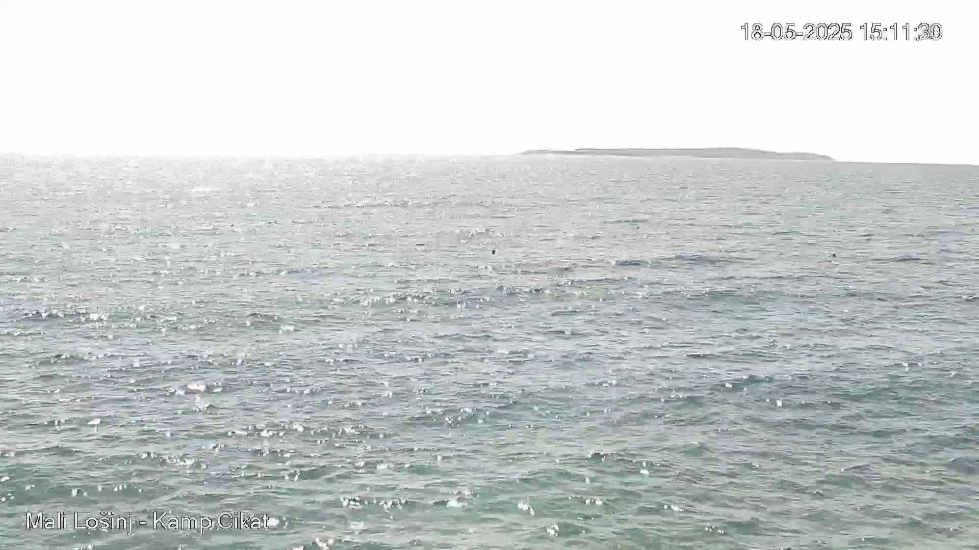 A calm, light-grey sea stretches to a distant, low-lying landmass under a bright, overcast sky.