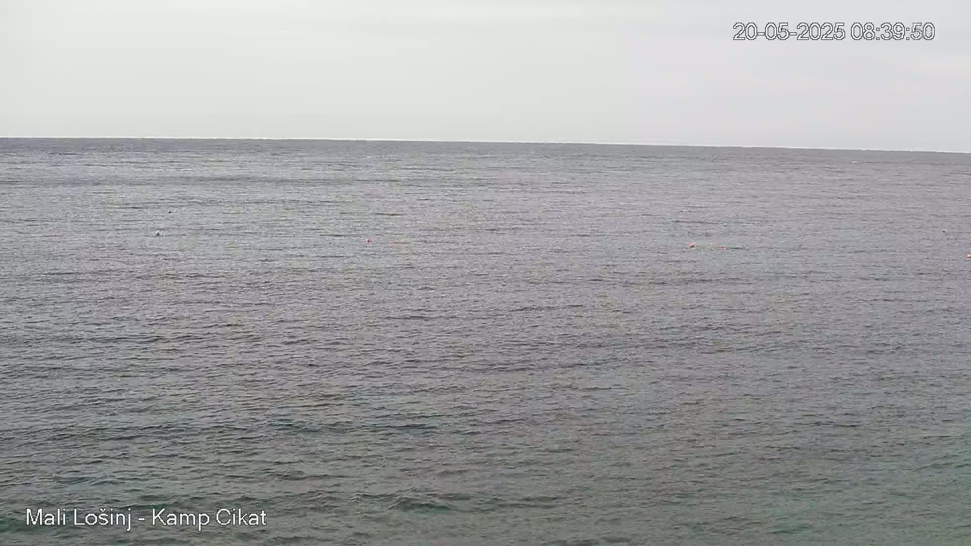 A calm, gray sea stretches to the horizon under an overcast sky.