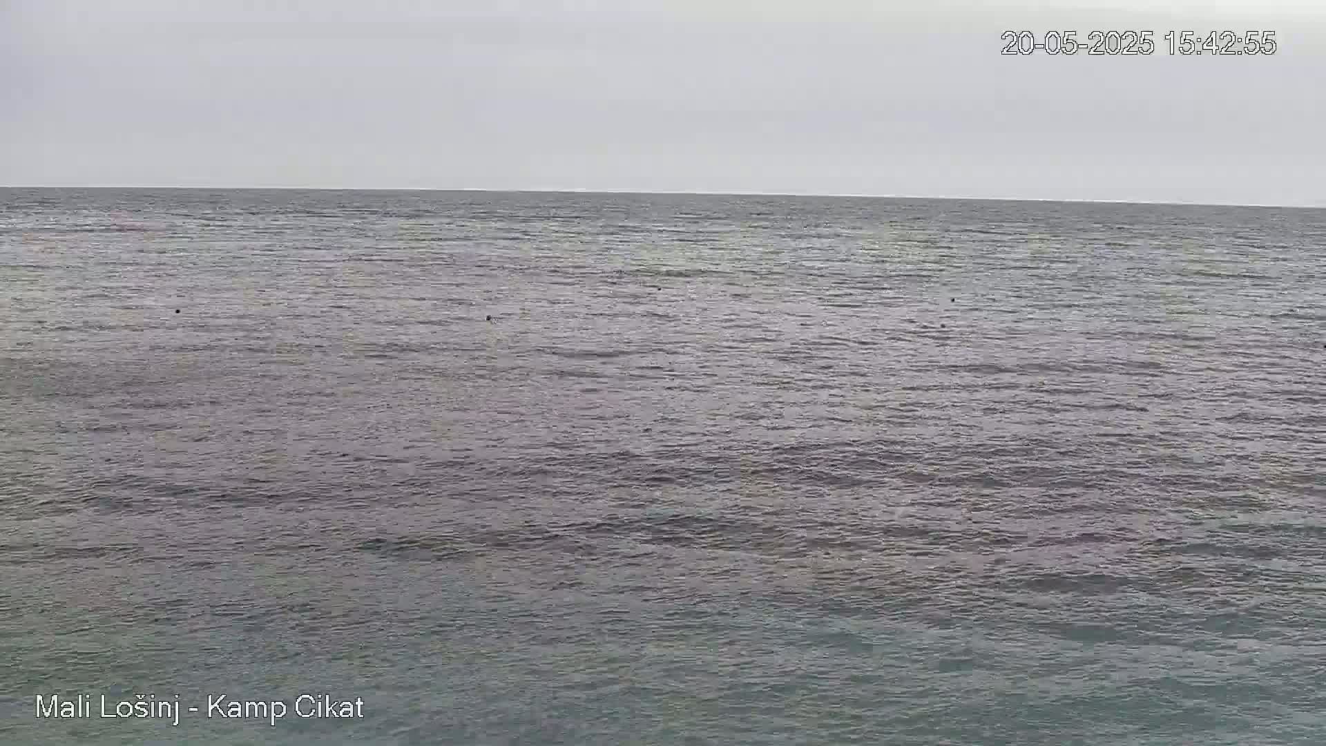 A calm, grey sea stretches to the horizon under an overcast sky.