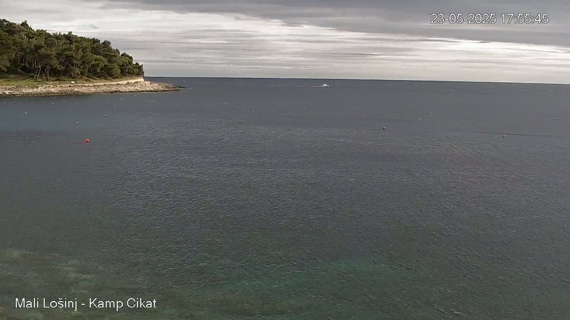 A calm, gray-sky day over a body of water shows a small, tree-covered peninsula on the left.